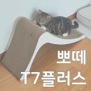 뽀떼나 | 뽀떼T7플러스, 고양이 발톱 관리를 손쉽게하는 스크래쳐 (feat.관상묘)