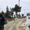 바다마루펜션 이미지