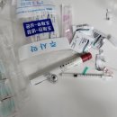 박준형한의원 | 자라나랏 ㄴㅍㄴㅍ!! 그리고 대망의 채취