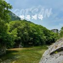 송화 펜션 | 괴산 쌍곡계곡 평상 대여 가격 취사가능 송화펜션