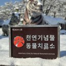 광주광역시 우치동물원 동물병원 투어코리아
