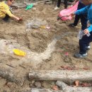 대장나무숲놀이터 이미지