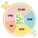 속편한약국 이미지