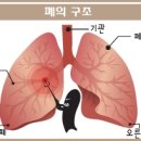 소리청대남한의원 이미지