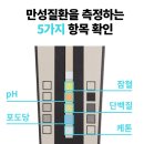 아랑동물병원 | 강아지 건강검진 소변검사키트 사용 후기