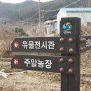 창원 다호리고분군 이미지