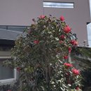 빈 하루 이미지