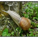 느린미학 이미지