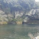 천지연무태장어천지연 이미지