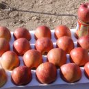 병규농장 이미지