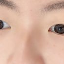 워브브로우