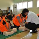 대관령초등학교 이미지