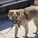 해와달그리고섬 이미지