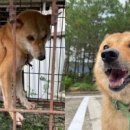 진도청과 이미지