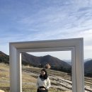 늘봄목장 이미지