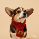 바바휘트니스 이미지