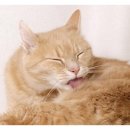 삼송사랑 동물의료센터 이미지