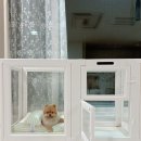 울타리 | 강아지울타리 퍼핑 클리어울타리 사용후기