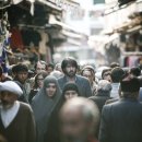 아르고일 이미지