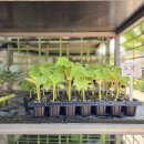 장기농약사 이미지