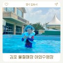 건지공원 | 김포 사계절 물썰매장 야외수영장 조각공원 물놀이 이용 꿀팁과 후기