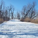 용천사편의점 이미지