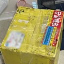 놀부와디자인 | 중전마마 브라이덜샤워 준비 후기 / 한복대여, 브로콜리부케