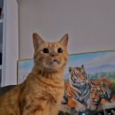 리치플러스 하남센터(1F) | [일기장] 15. 하남의 일상부터 영덕의 야유회까지, 9월을 보내며 쓰는 블로그