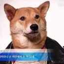 다 - 중랑구 | 다