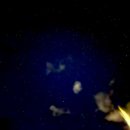 물안개 오토캠핑장 이미지