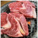 맛있는고기들