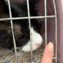 온아동물의료센터 이미지