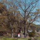 운학동 돌무지군 이미지