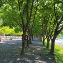 써니밸리오토캠핑장 이미지