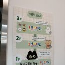 모닝글로리 | 소품샵 마니아라면 꼭 방문해야 할... 홍대 모닝글로리 본사직영점 후기