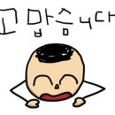 the새차처럼 이미지