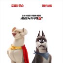 댕댕슈퍼