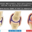 케어가드 이미지