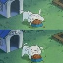 파라이