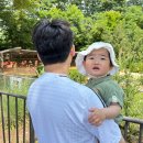 여름을 향해 달려가며 신록이 짙어가는 6월! (1) 이미지