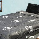 코코하우스 Daum카페