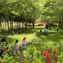 가치여행 | 🌿온가족보듬사업 숲토닥 연계 프로그램 ‘어우렁더우렁 다(多)가치 숲여행’ 후기 🌳