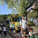 형제카 | 내돈내산) 2살터울 형제 유모차, 에이블유모카플러스 2대 구입 후 한달 실사용 후기!