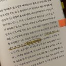 개나리문구 이미지