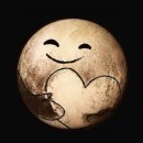 숲속마을로 이미지