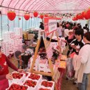 전국뽑기자랑 이미지