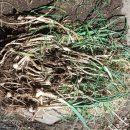 달래농장 이미지