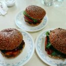 애니 앤 길버트 이미지