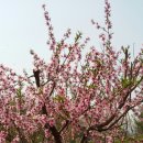 옥주농장 이미지