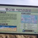 몽산포 해변 이미지